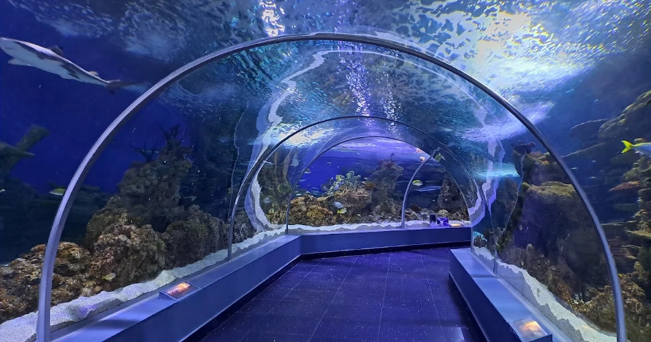 A Comprehensive Travel Guide to Jeddah